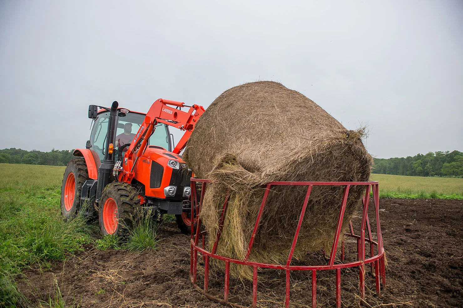 Kubota M6-101 tractor with an LA1955 front loader placing a round hay bale in a feeder