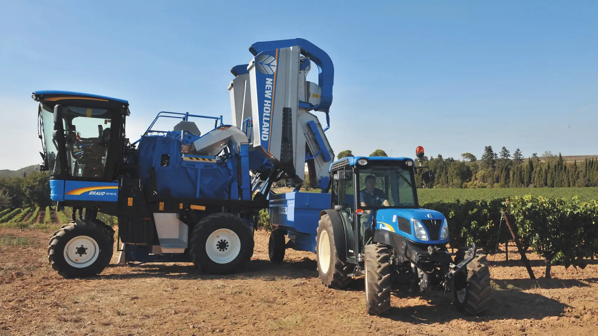 New Holland Braud grape harvester in vineyard rows
