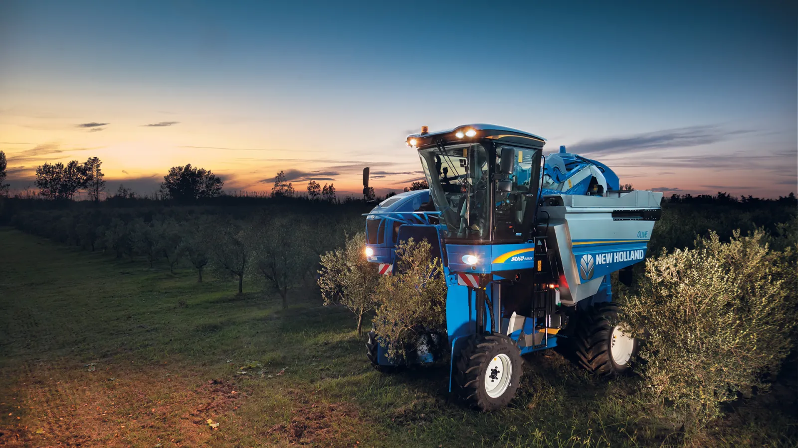 Representative New Holland Braud 9090X olive harvester working at dusk