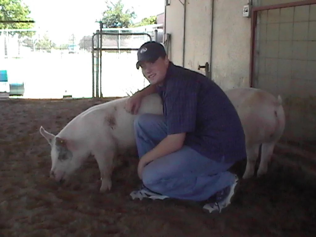 Grant Garton crouching beside a show pig in a livestock barn