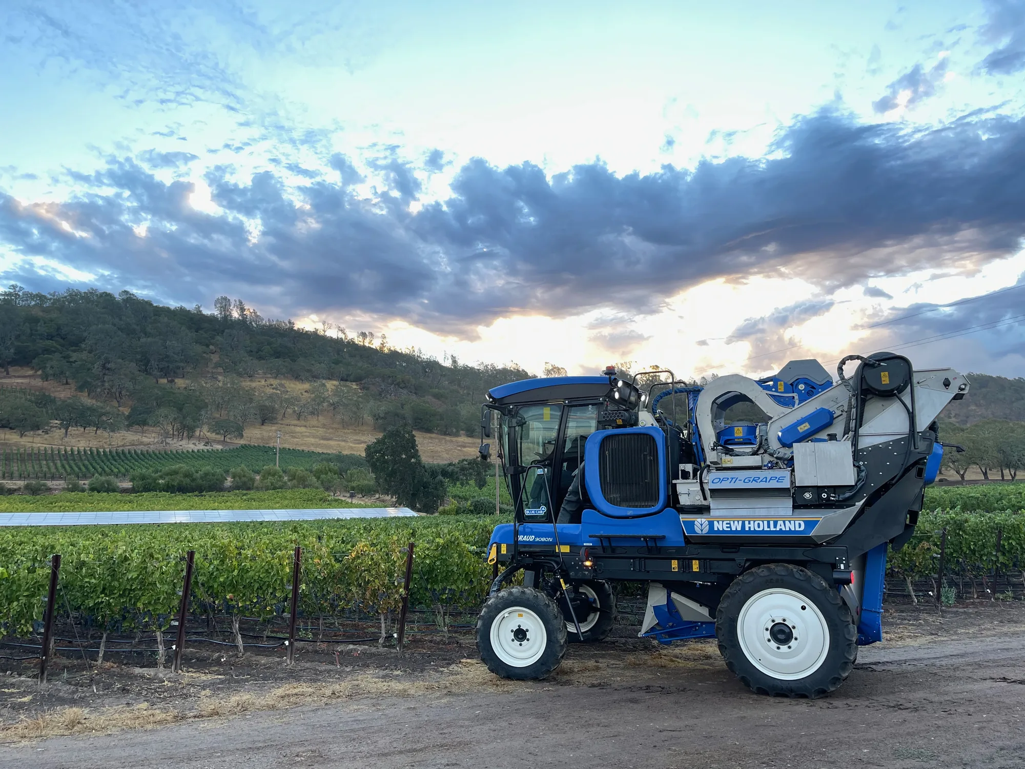 New Holland Braud grape harvester working in a California vineyard