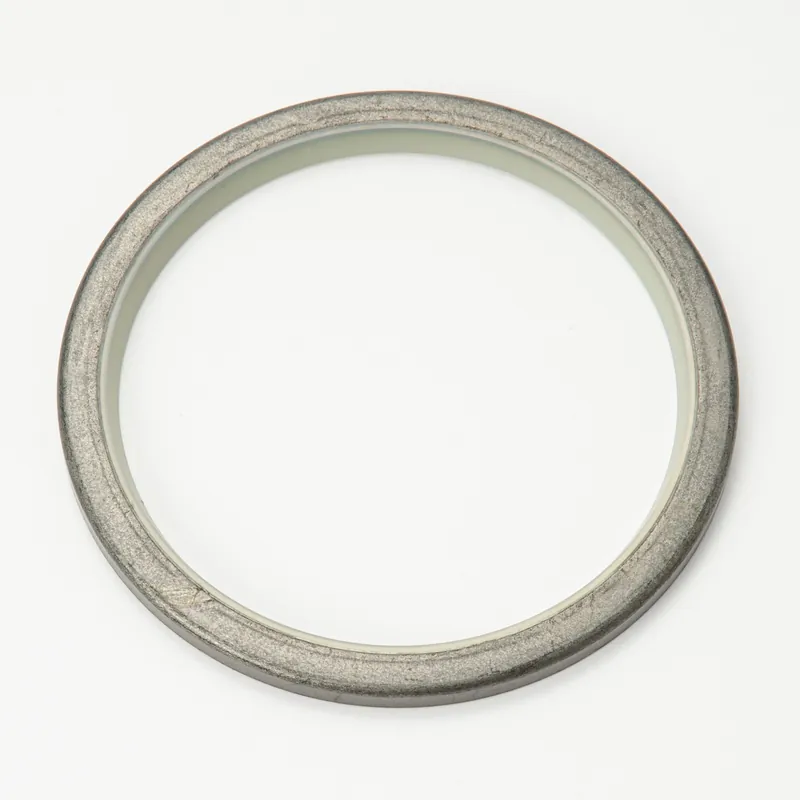 Hitachi part 4067902, SEAL;DUST
