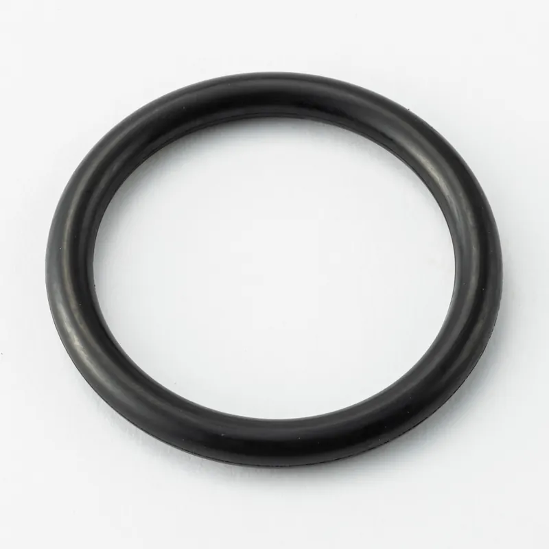 Hitachi part 4681155, O-RING