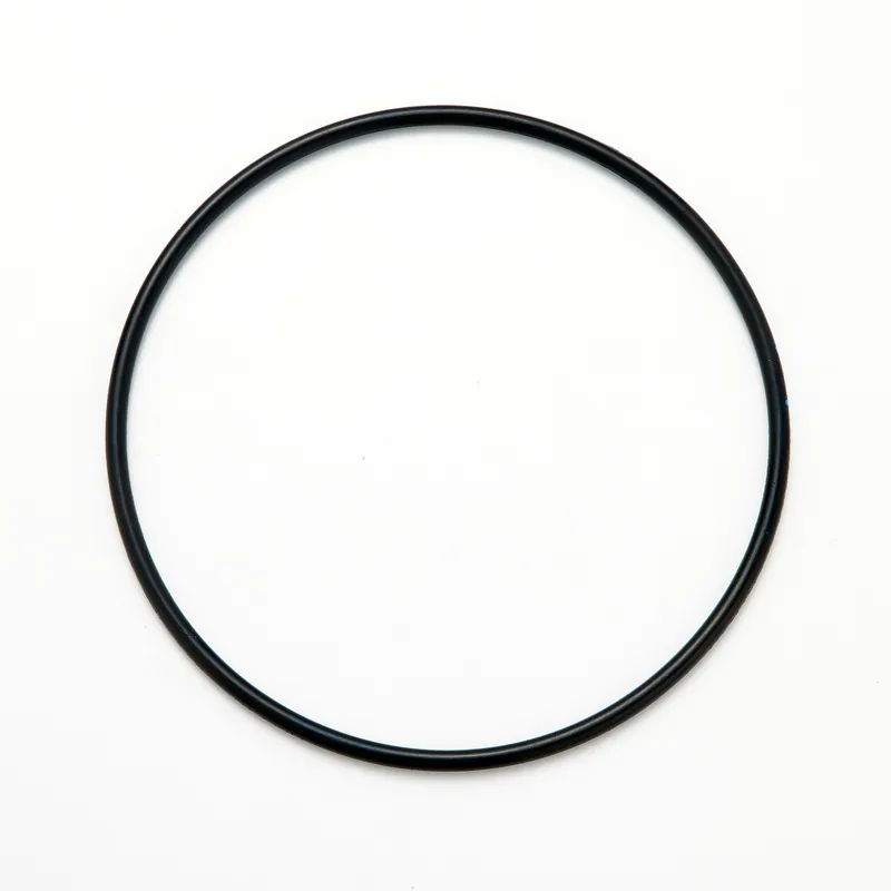 Hitachi part A811095, O-RING
